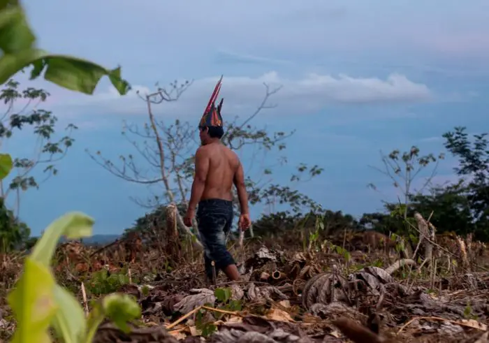 Desafíos y Amenazas a la Relación Indígena-Medio Ambiente