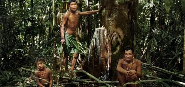 Los Pirahã son una tribu indígena que habita en la región del Amazonas en Brasil.