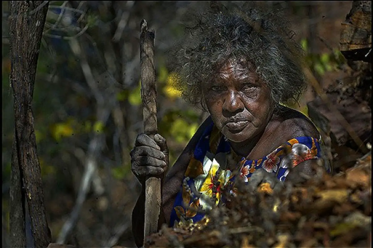 Cultura Aborigen